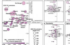加速中国向碳中和和清洁空气转型