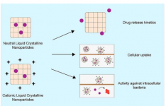 液晶纳米颗粒可以增强抗生素治疗囊性纤维化的作用