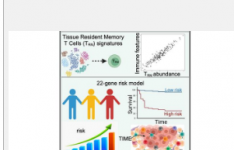 组织驻留T细胞的基因特征可作为黑色素瘤患者的预测工具