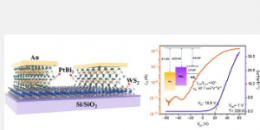 利用三重简并半金属PtBi2彻底改变晶体管技术