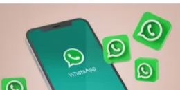 WhatsApp发布安卓版更新现在在设置中提供媒体质量选项