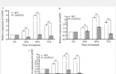 CRISPR/Cas9系统增强抗病性和遗传研究