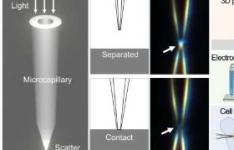 基于光的微毛细管监测激发制造和生物技术的创新