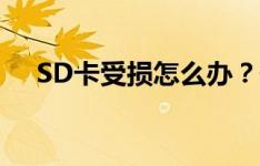 SD卡受损怎么办？修复教程与解决方案