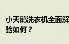 小天鹅洗衣机全面解析：性能、功能与用户体验如何？