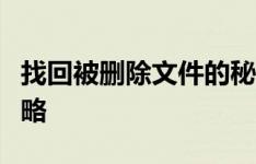 找回被删除文件的秘密：回收站文件恢复全攻略