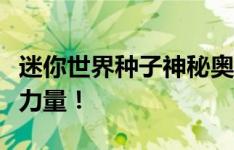 迷你世界种子神秘奥秘：探索种子背后的神奇力量！