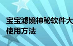 宝宝滤镜神秘软件大揭秘：揭示其背后功能和使用方法