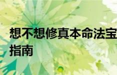 想不想修真本命法宝全解析：入门攻略与提升指南