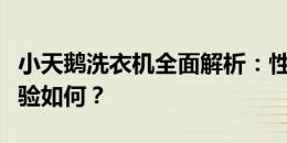 小天鹅洗衣机全面解析：性能、功能与用户体验如何？