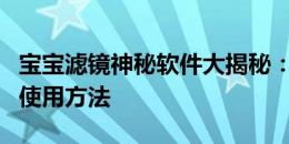 宝宝滤镜神秘软件大揭秘：揭示其背后功能和使用方法