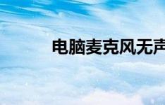 电脑麦克风无声，解决教程一览