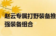 赵云专属打野装备推荐：顶级攻略助你打造最强装备组合