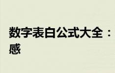 数字表白公式大全：以数学之浪漫诉说无尽情感