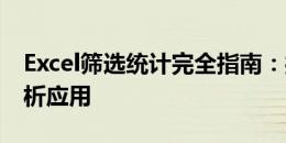 Excel筛选统计完全指南：操作技巧与数据分析应用