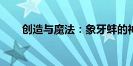 创造与魔法：象牙蚌的神秘栖息之地