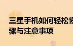 三星手机如何轻松恢复出厂设置——详细步骤与注意事项