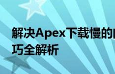 解决Apex下载慢的问题：优化策略与提速技巧全解析