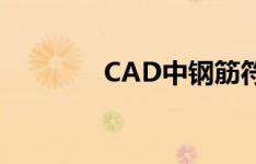 CAD中钢筋符号的输入方法