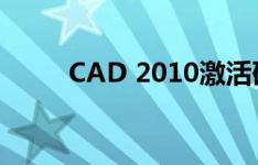 CAD 2010激活码获取与验证步骤