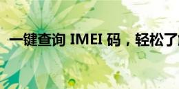 一键查询 IMEI 码，轻松了解你的设备信息