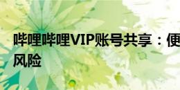 哔哩哔哩VIP账号共享：便捷观影，但需注意风险