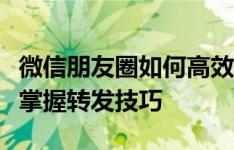 微信朋友圈如何高效转发：实用指南助你轻松掌握转发技巧