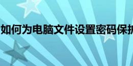 如何为电脑文件设置密码保护？详细步骤教程